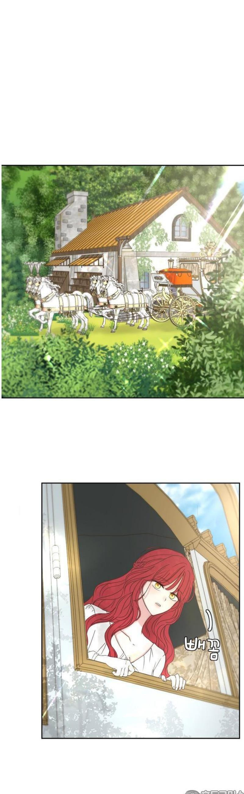 17483560862822.jpeg