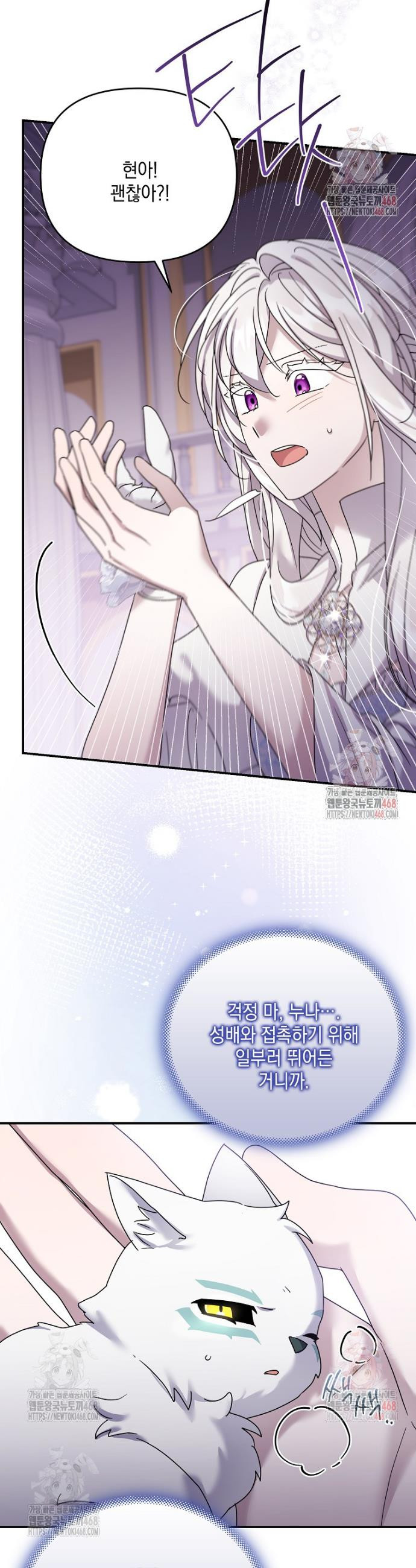 17483575281698.jpeg