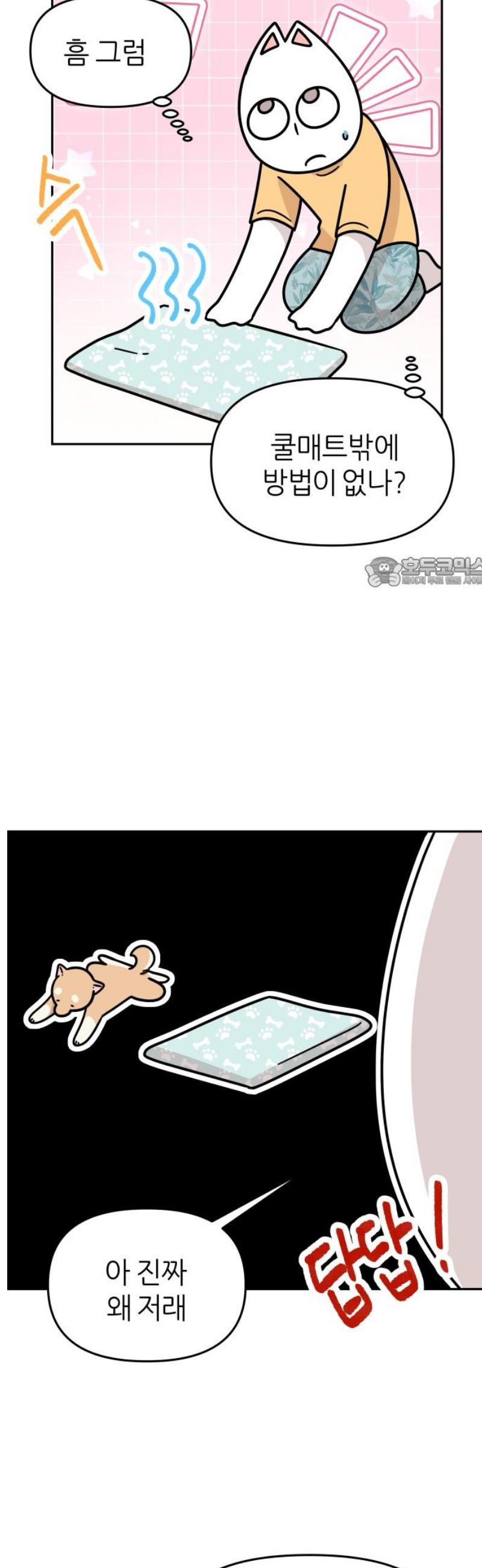 17483584972431.jpeg