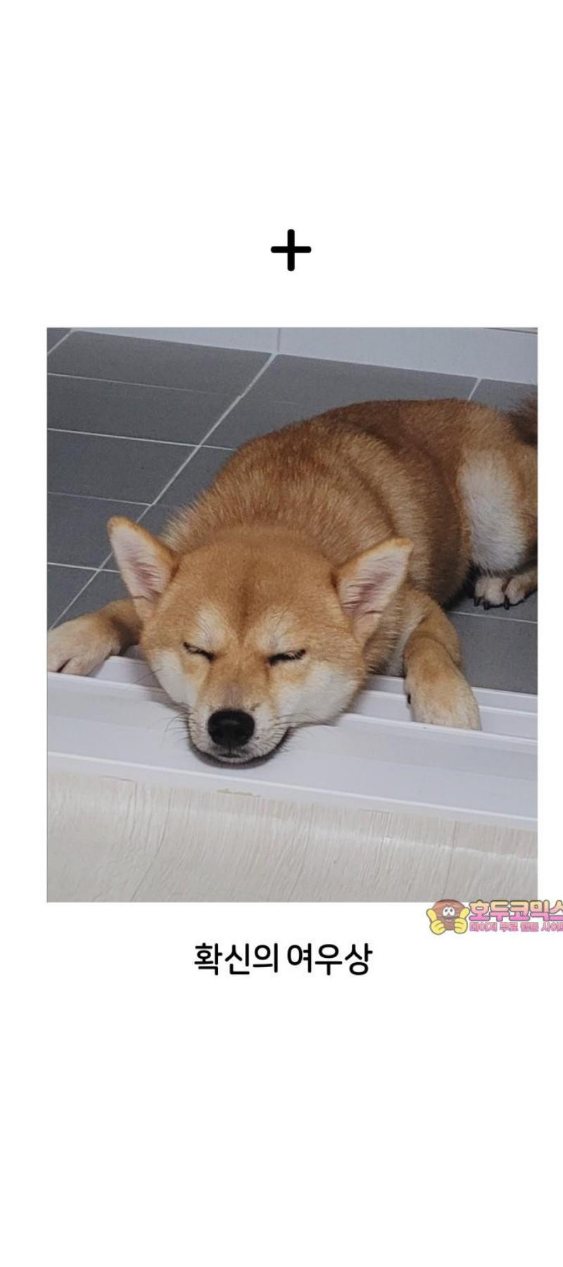 17483585020059.jpeg