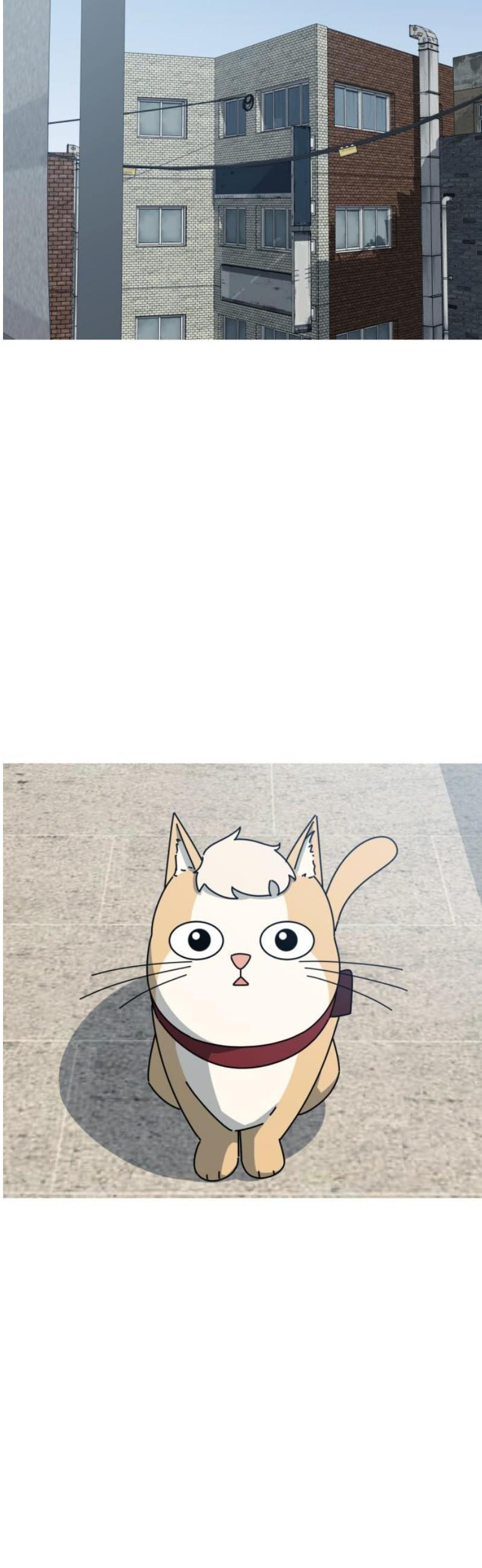 17483590899349.jpeg