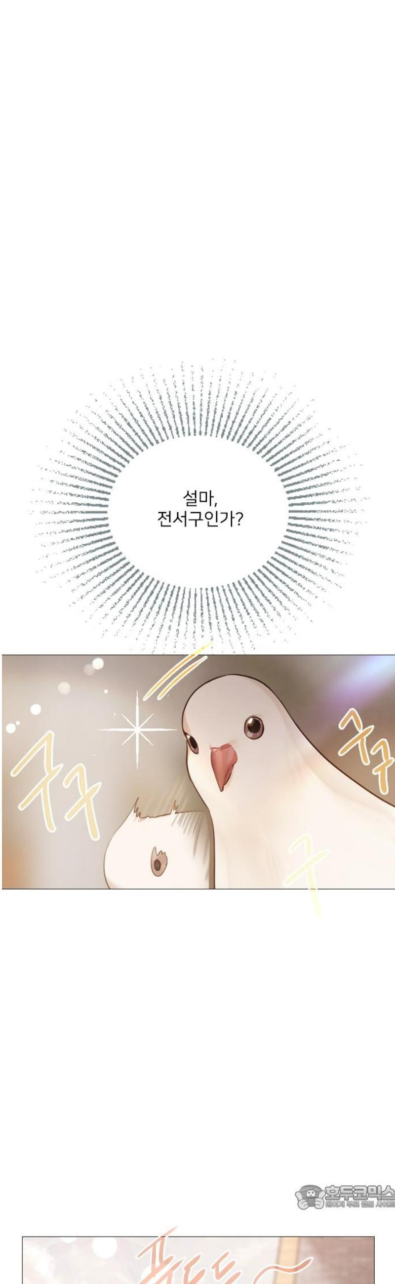 17483591086381.jpeg