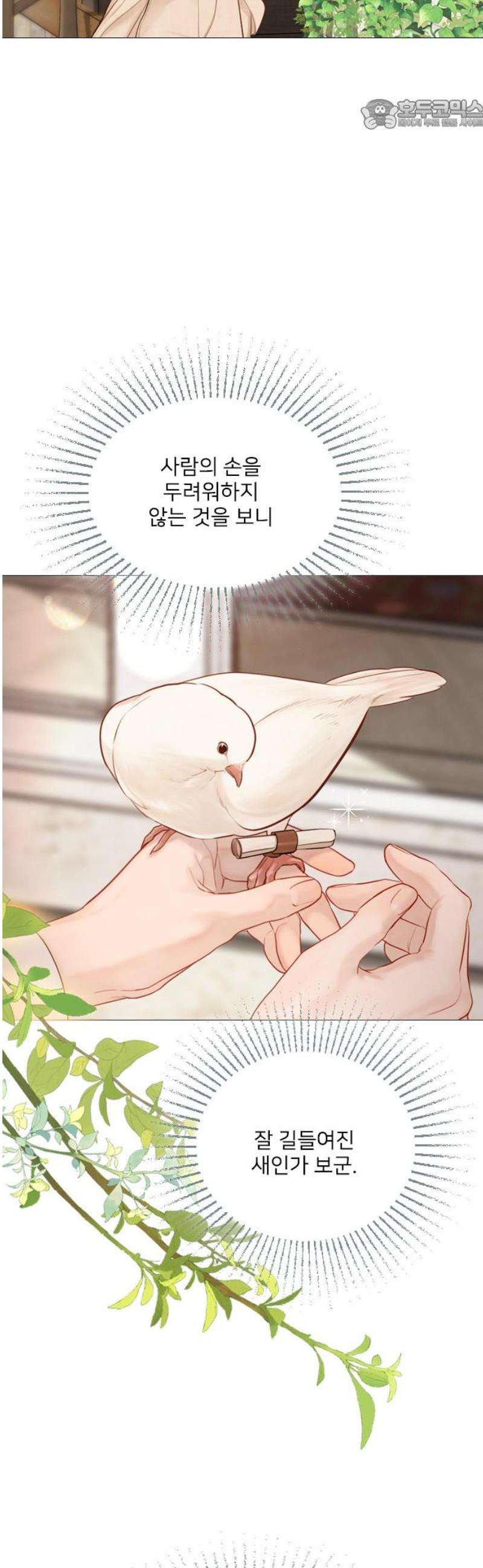 17483591096408.jpeg