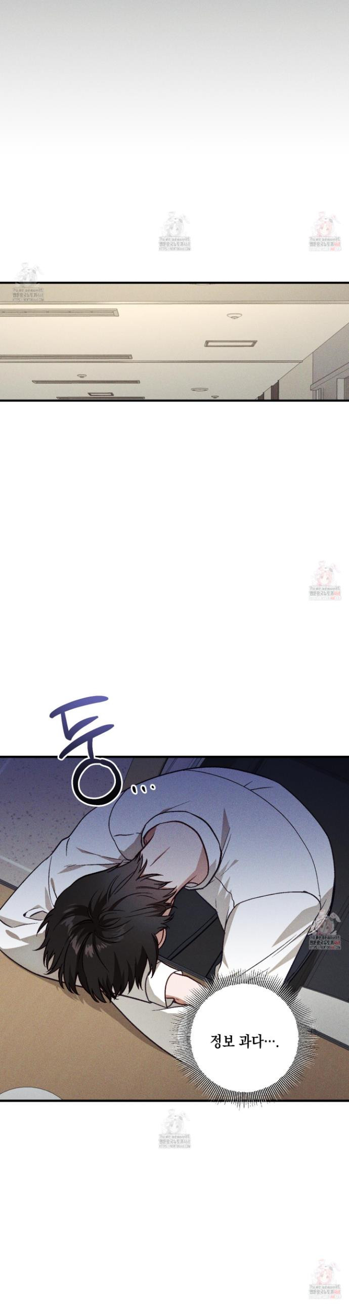 17483597213487.jpeg