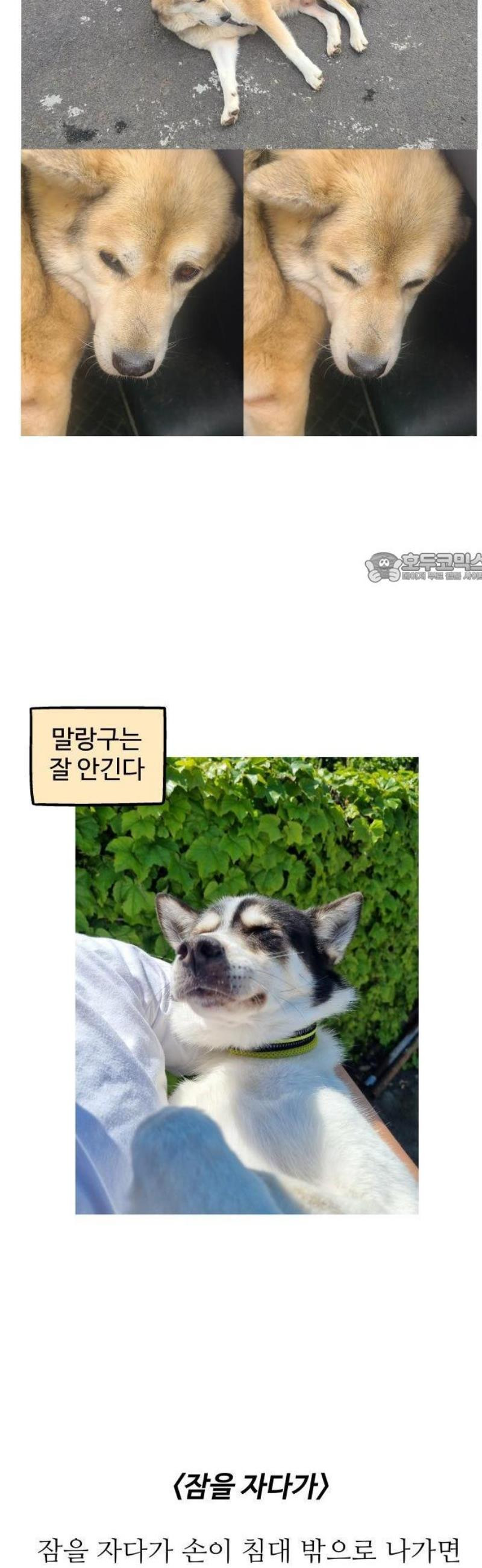 1748411165557.jpeg