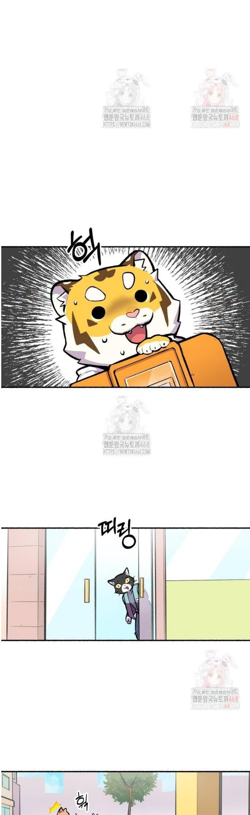 17484219646936.jpeg