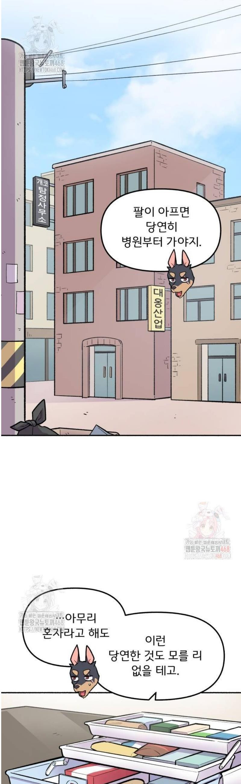 17484219691044.jpeg